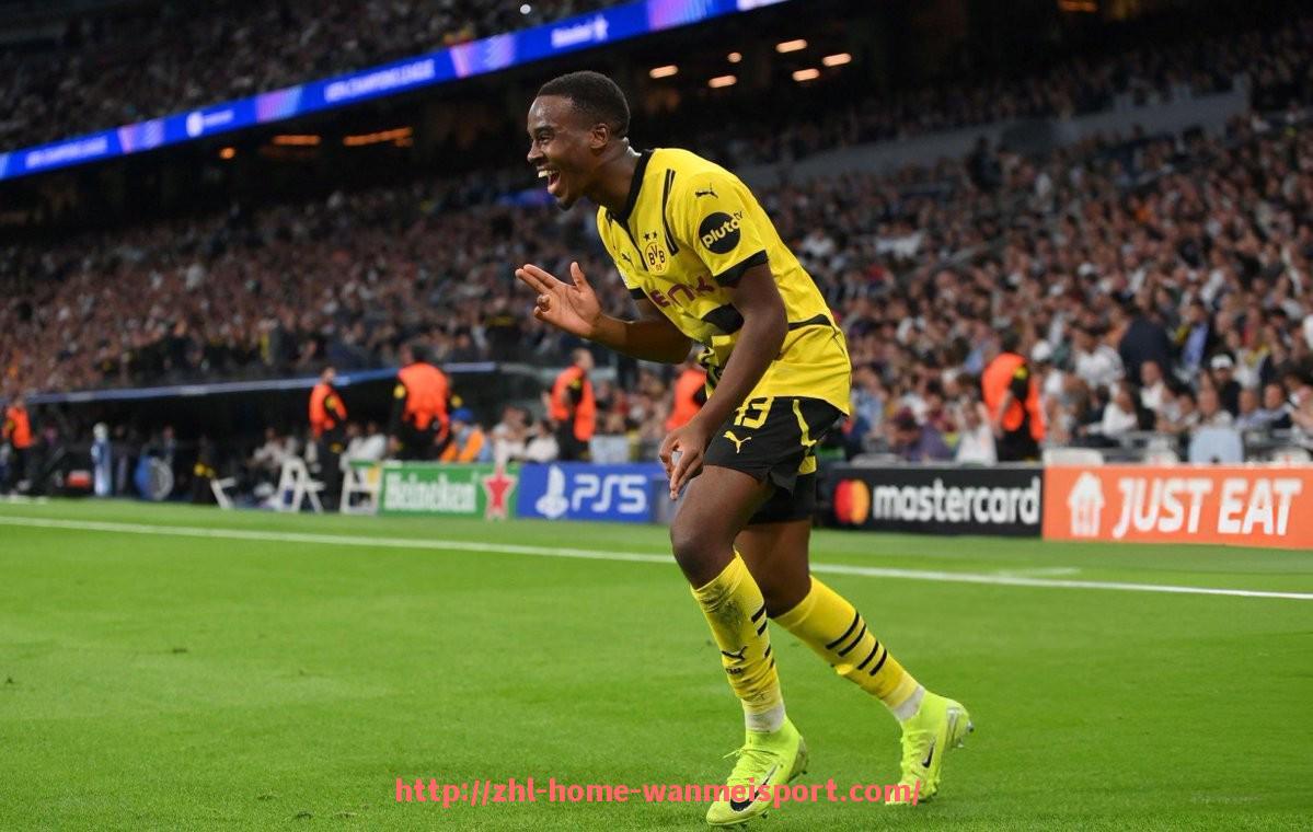 完美体育官方网站-德甲球队老板名单及影响力评级综合评述