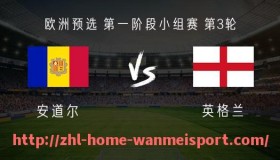 完美体育官方网站-《2025德甲新赛季各球队身价变化排行榜与解析》